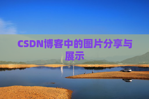 CSDN博客中的图片分享与展示